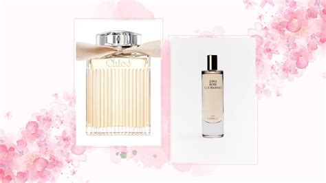 chloe eau de parfum dumpe|chloe signature dupe price.